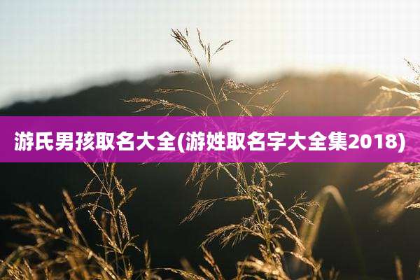 游氏男孩取名大全(游姓取名字大全集2018)