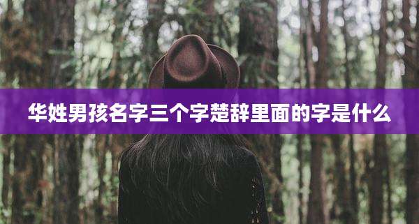 华姓男孩名字三个字楚辞里面的字是什么