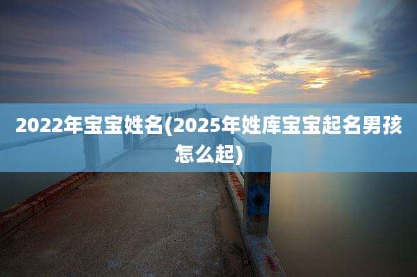 2022年宝宝姓名(2025年姓库宝宝起名男孩怎么起)