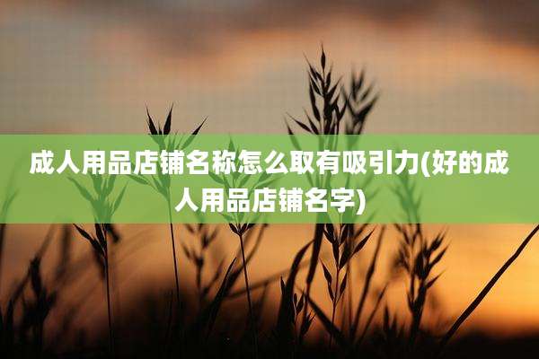 成人用品店铺名称怎么取有吸引力(好的成人用品店铺名字)