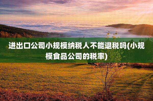 进出口公司小规模纳税人不能退税吗(小规模食品公司的税率)