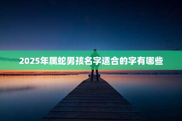 2025年属蛇男孩名字适合的字有哪些