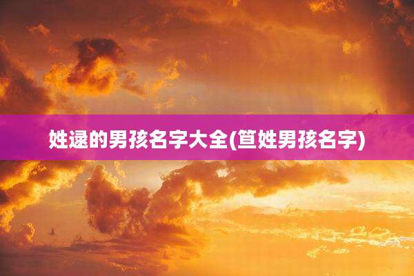 姓逯的男孩名字大全(笪姓男孩名字)