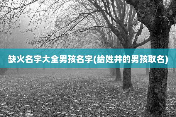 缺火名字大全男孩名字(给姓井的男孩取名)