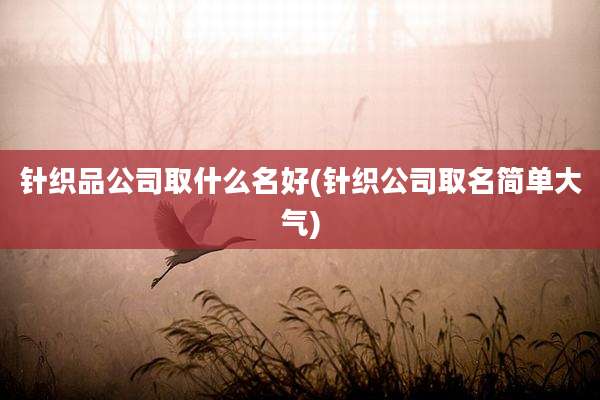针织品公司取什么名好(针织公司取名简单大气)