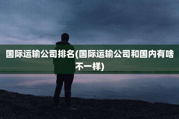 国际运输公司排名(国际运输公司和国内有啥不一样)