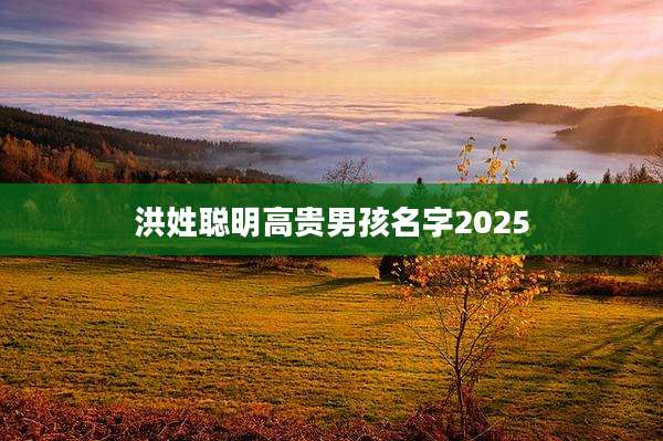 洪姓聪明高贵男孩名字2025
