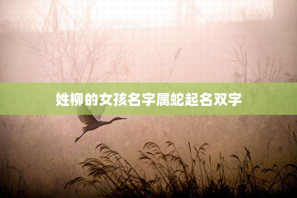 姓柳的女孩名字属蛇起名双字
