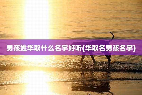 男孩姓华取什么名字好听(华取名男孩名字)