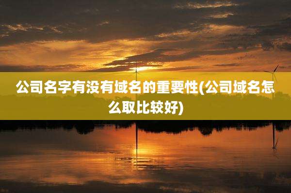 公司名字有没有域名的重要性(公司域名怎么取比较好)