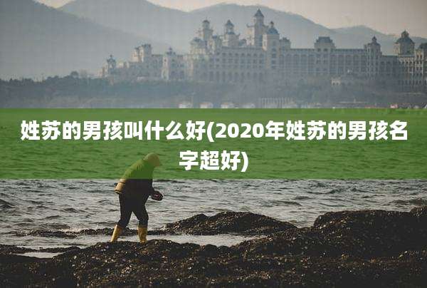 姓苏的男孩叫什么好(2020年姓苏的男孩名字超好)