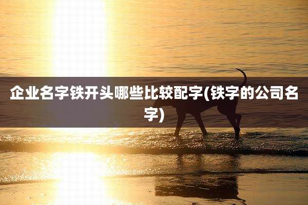 企业名字铁开头哪些比较配字(铁字的公司名字)