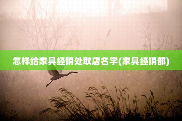 怎样给家具经销处取店名字(家具经销部)