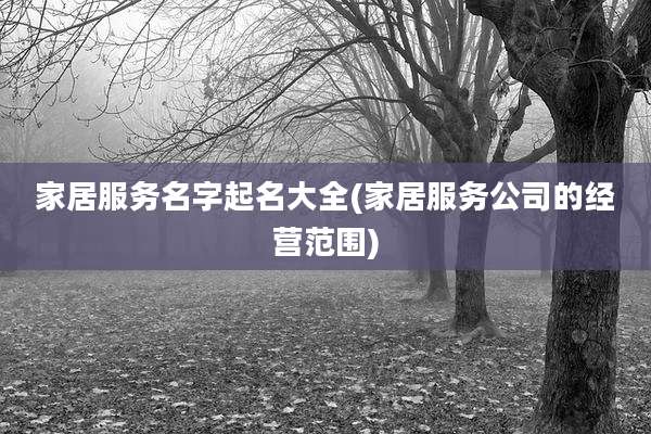 家居服务名字起名大全(家居服务公司的经营范围)