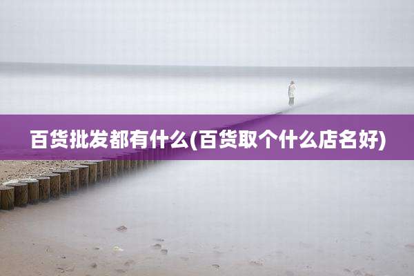 百货批发都有什么(百货取个什么店名好)