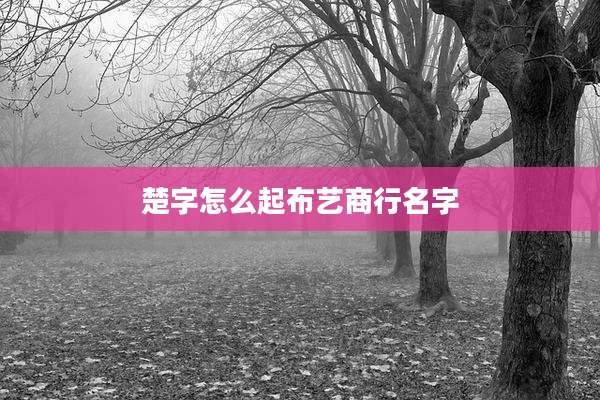 楚字怎么起布艺商行名字