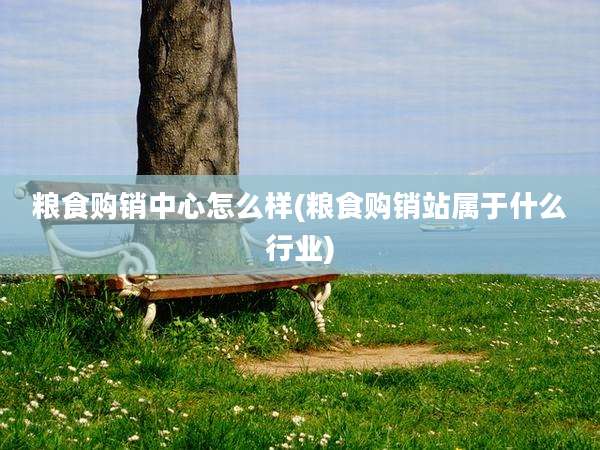 粮食购销中心怎么样(粮食购销站属于什么行业)