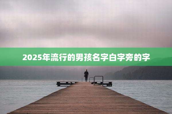2025年流行的男孩名字白字旁的字