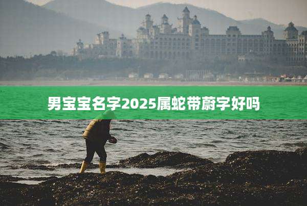 男宝宝名字2025属蛇带蔚字好吗
