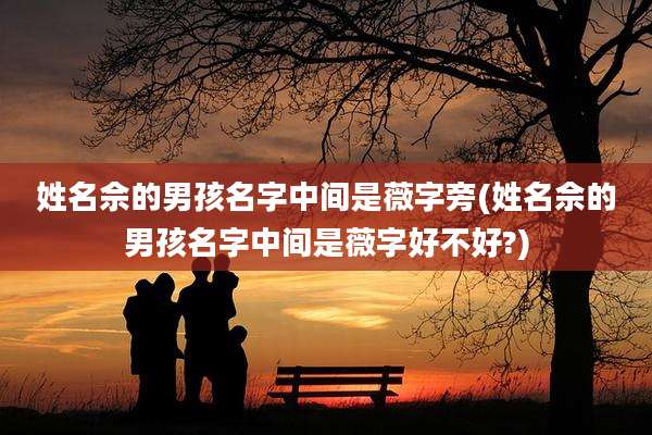 姓名佘的男孩名字中间是薇字旁(姓名佘的男孩名字中间是薇字好不好?)