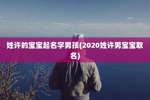 姓许的宝宝起名字男孩(2020姓许男宝宝取名)