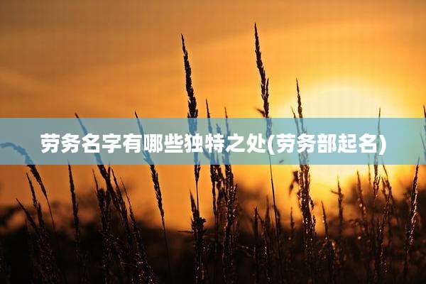 劳务名字有哪些独特之处(劳务部起名)
