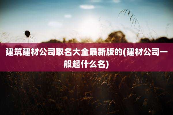 建筑建材公司取名大全最新版的(建材公司一般起什么名)