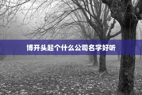 博开头起个什么公司名字好听