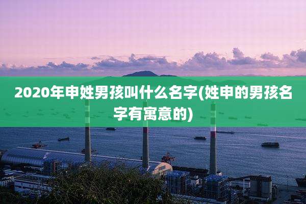 2020年申姓男孩叫什么名字(姓申的男孩名字有寓意的)