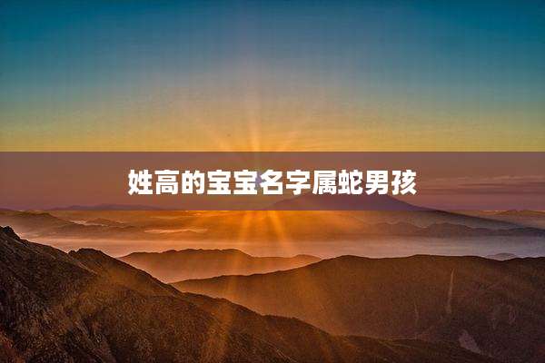 姓高的宝宝名字属蛇男孩