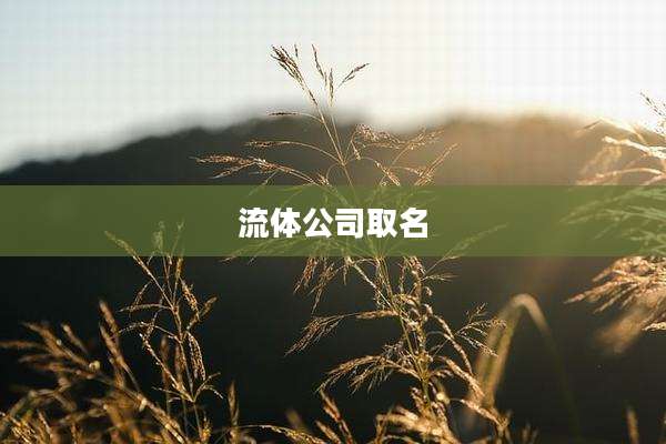 流体公司取名