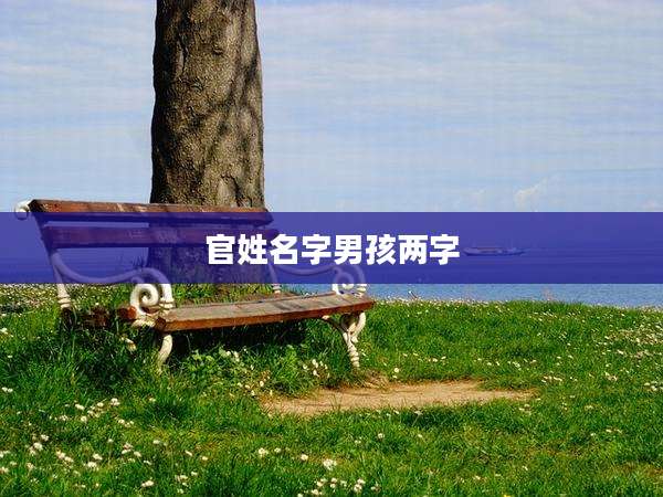 官姓名字男孩两字