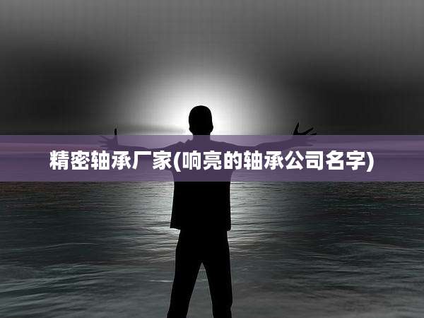 精密轴承厂家(响亮的轴承公司名字)