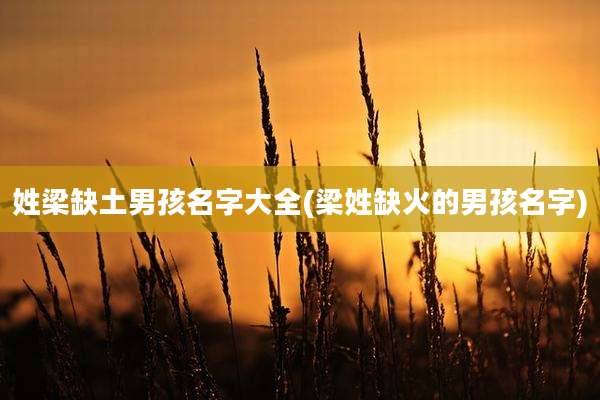 姓梁缺土男孩名字大全(梁姓缺火的男孩名字)