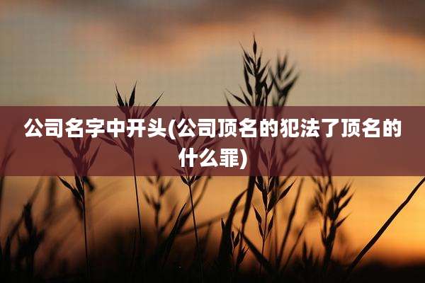公司名字中开头(公司顶名的犯法了顶名的什么罪)