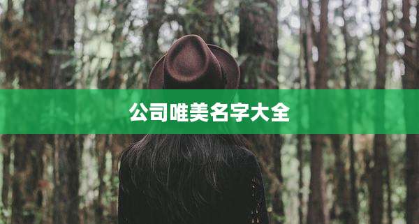 公司唯美名字大全