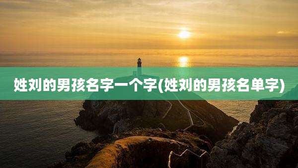 姓刘的男孩名字一个字(姓刘的男孩名单字)