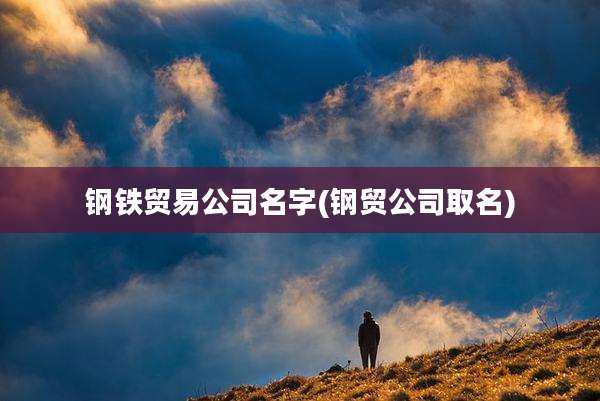 钢铁贸易公司名字(钢贸公司取名)