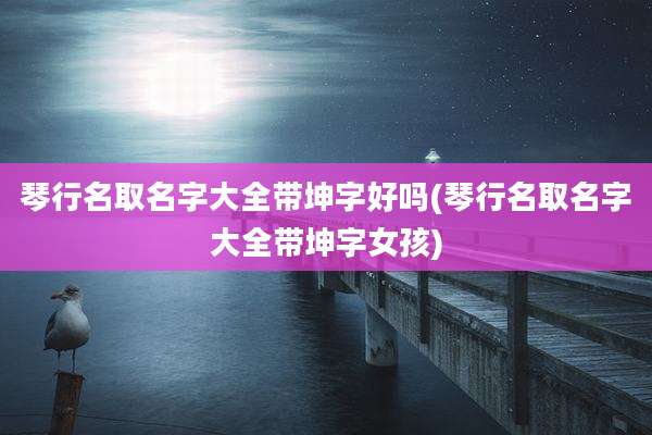 琴行名取名字大全带坤字好吗(琴行名取名字大全带坤字女孩)
