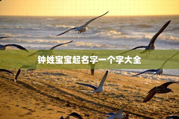 钟姓宝宝起名字一个字大全