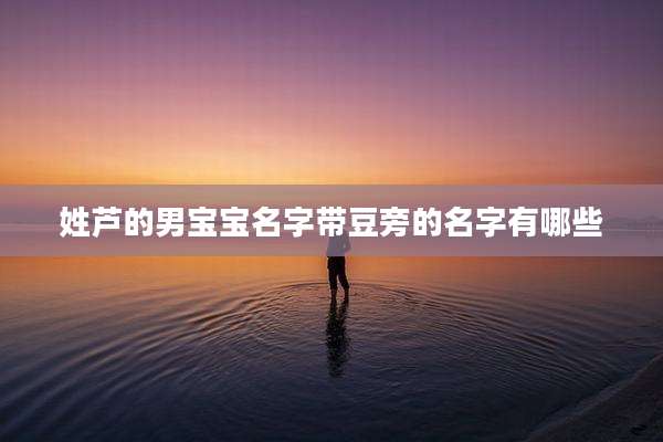 姓芦的男宝宝名字带豆旁的名字有哪些