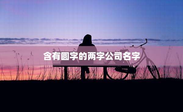 含有圆字的两字公司名字