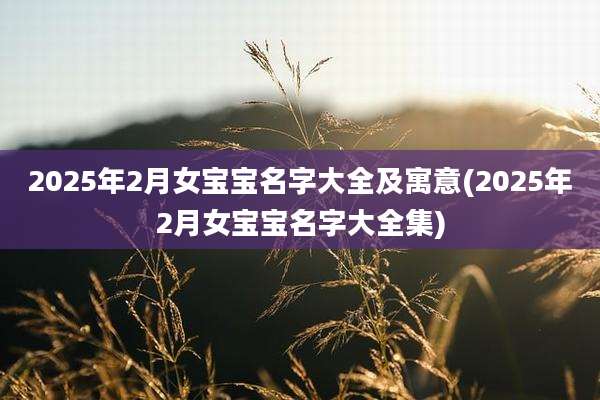2025年2月女宝宝名字大全及寓意(2025年2月女宝宝名字大全集)