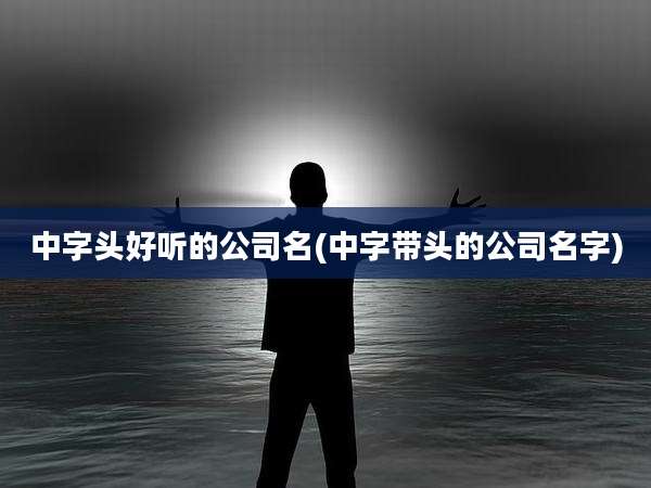 中字头好听的公司名(中字带头的公司名字)