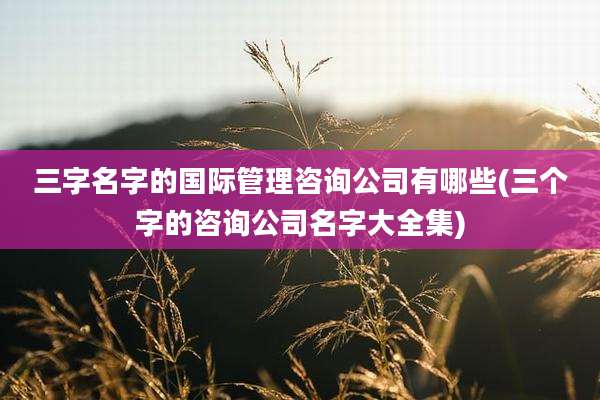 三字名字的国际管理咨询公司有哪些(三个字的咨询公司名字大全集)
