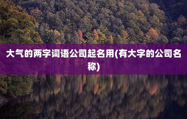 大气的两字词语公司起名用(有大字的公司名称)