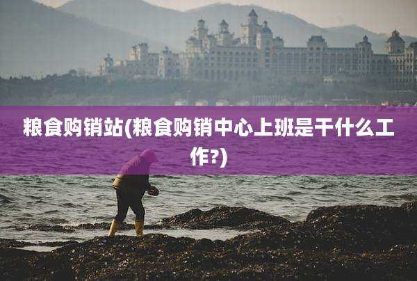 粮食购销站(粮食购销中心上班是干什么工作?)