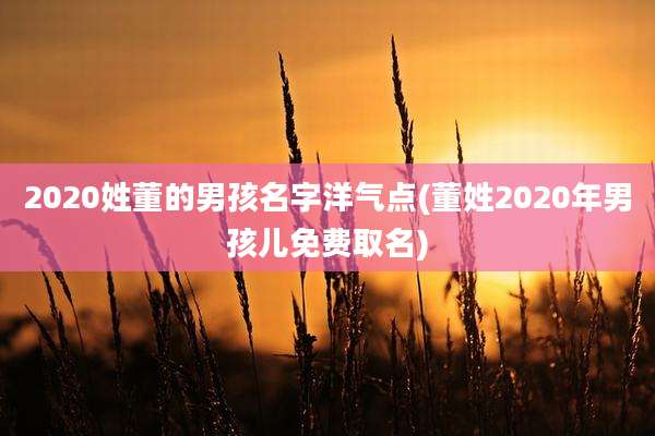 2020姓董的男孩名字洋气点(董姓2020年男孩儿免费取名)