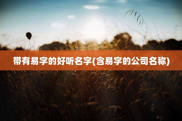 带有易字的好听名字(含易字的公司名称)