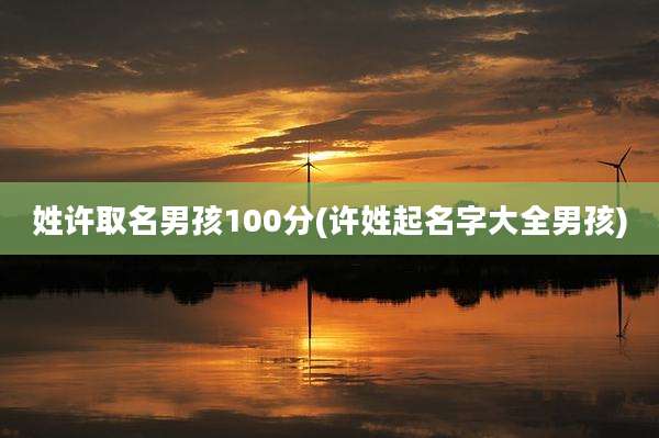 姓许取名男孩100分(许姓起名字大全男孩)